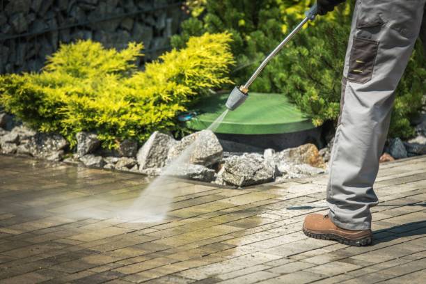 Boat and Dock Cleaning in Keystone, FL